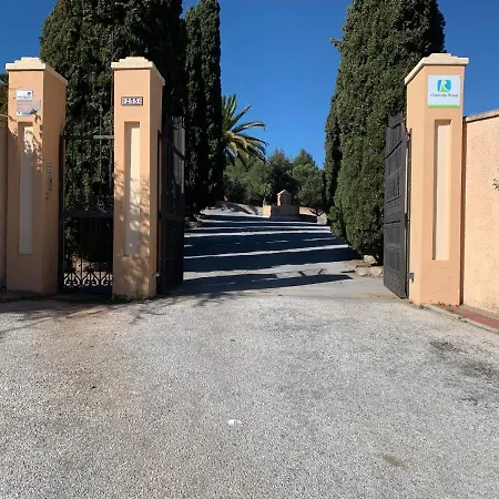 Saguaro Malaga *