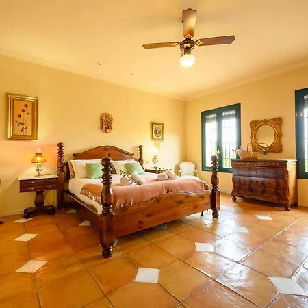 Monkó Saguaro Villa