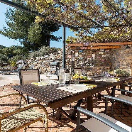 Villa Monkó Saguaro *
