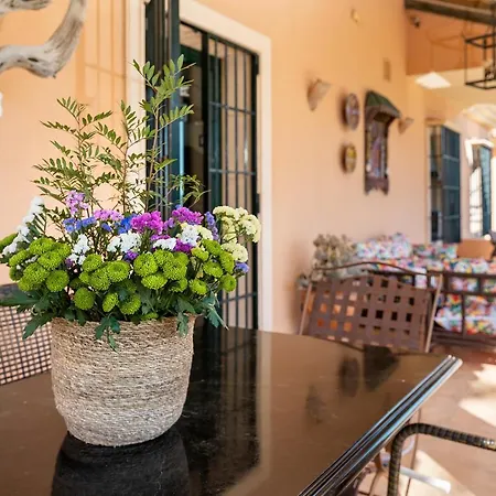 Saguaro Malaga * 阿尔豪林德拉托里